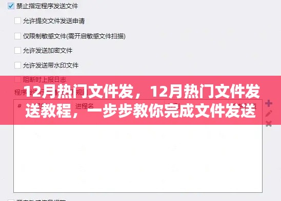 12月热门文件发送指南，一步步完成文件发送任务教程