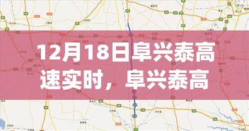 娇小玲珑 第3页