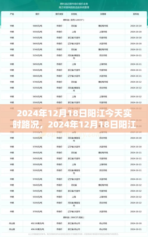 2024年12月18日阳江实时路况分析与出行指南