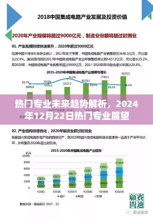 热门专业未来趋势解析及展望，2024年热门专业展望报告