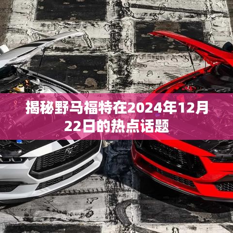 揭秘野马福特在年末热点话题，2024年12月22日动态总览