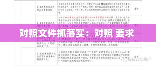 对照文件抓落实：对照 要求 