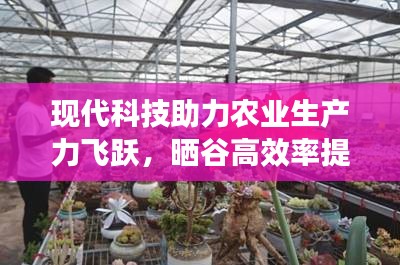 现代科技助力农业生产力飞跃，晒谷高效率提升农业效益