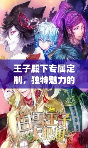 王子殿下专属定制，独特魅力的传奇之旅