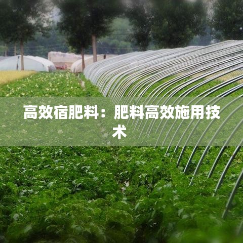 高效宿肥料：肥料高效施用技术 