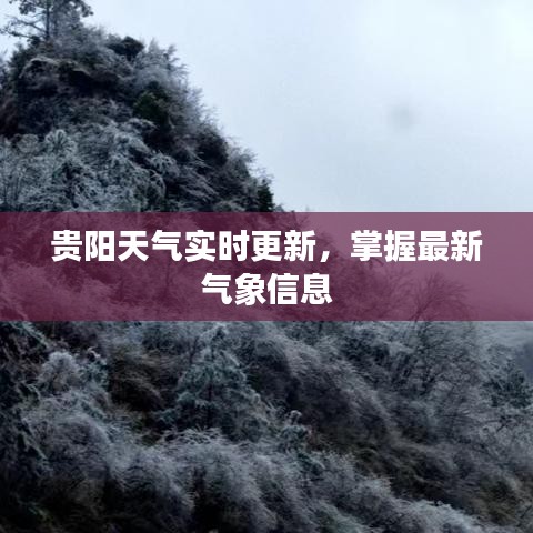 贵阳天气实时更新，掌握最新气象信息