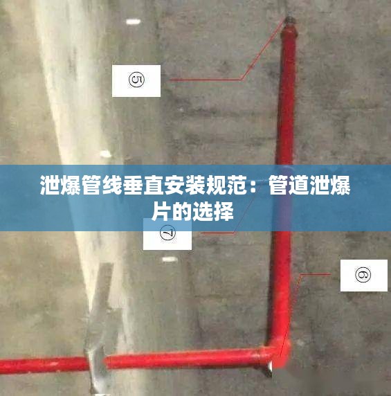 泄爆管线垂直安装规范：管道泄爆片的选择 
