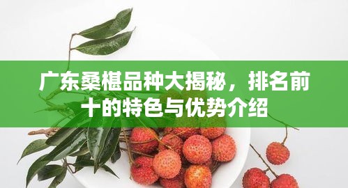 第896页