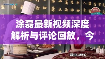 涂磊最新视频深度解析与评论回放，今日热议话题聚焦点