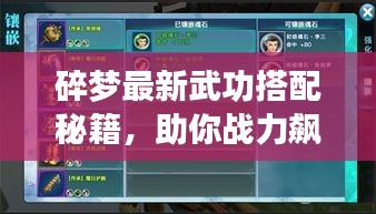 碎梦最新武功搭配秘籍，助你战力飙升！