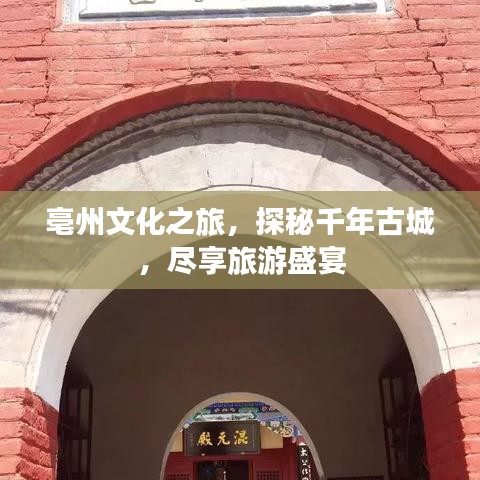 亳州文化之旅，探秘千年古城，尽享旅游盛宴