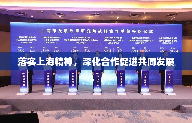 落实上海精神，深化合作促进共同发展