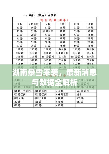 湖南暴雪来袭，最新消息与数据全解析