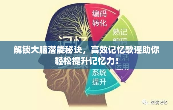 解锁大脑潜能秘诀，高效记忆歌谣助你轻松提升记忆力！