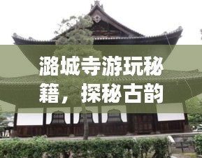 潞城寺游玩秘籍，探秘古韵之旅
