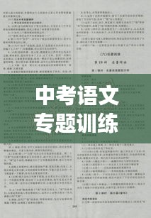 中考语文专题训练秘籍揭秘，高效备考教案助你轻松突破！
