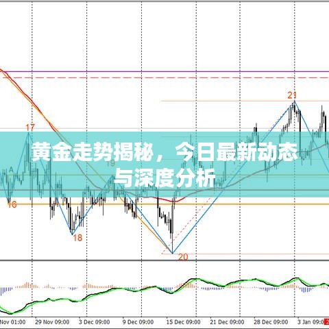 黄金走势揭秘，今日最新动态与深度分析