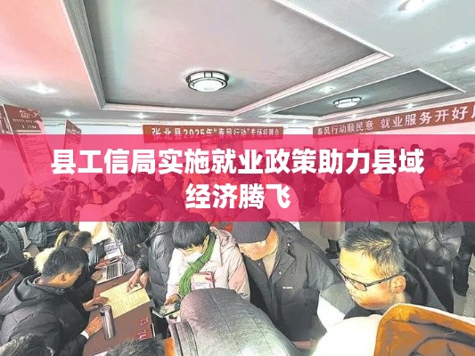 县工信局实施就业政策助力县域经济腾飞