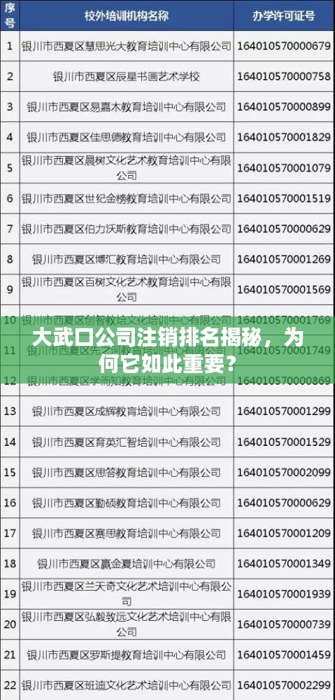 大武口公司注销排名揭秘，为何它如此重要？