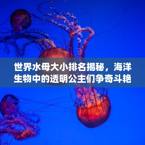世界水母大小排名揭秘，海洋生物中的透明公主们争奇斗艳！