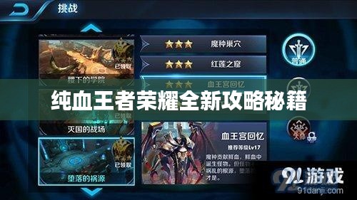 纯血王者荣耀全新攻略秘籍