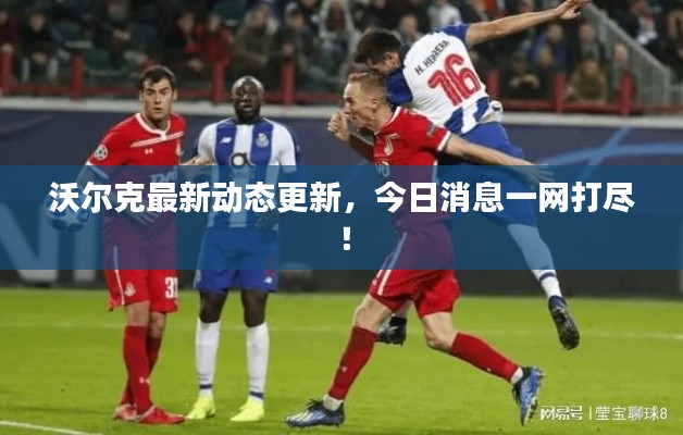 沃尔克最新动态更新，今日消息一网打尽！