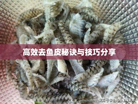 高效去鱼皮秘诀与技巧分享