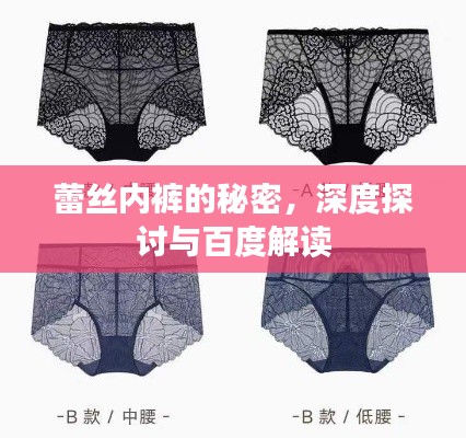 蕾丝内裤的秘密，深度探讨与百度解读