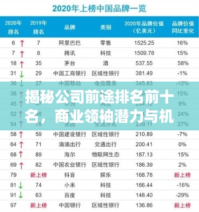 揭秘公司前途排名前十名，商业领袖潜力与机遇展望