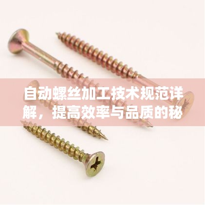 自动螺丝加工技术规范详解，提高效率与品质的秘诀