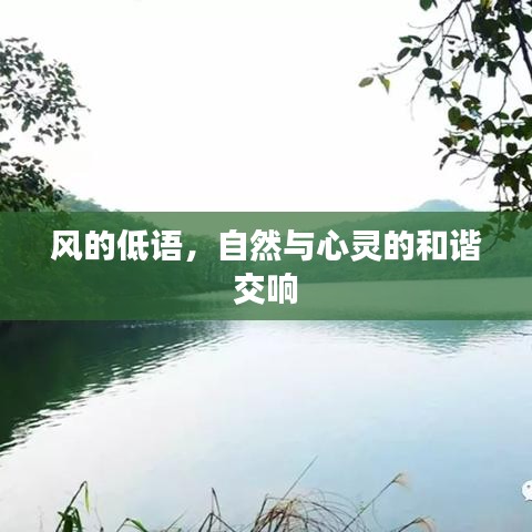 风的低语，自然与心灵的和谐交响