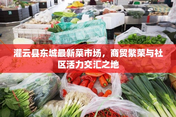 灌云县东城最新菜市场，商贸繁荣与社区活力交汇之地