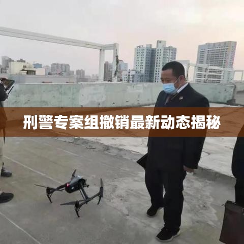 刑警专案组撤销最新动态揭秘