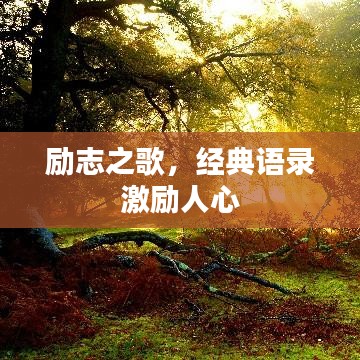 励志之歌，经典语录激励人心