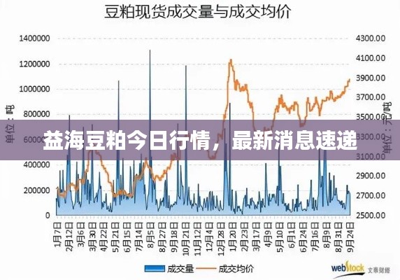 益海豆粕今日行情，最新消息速递