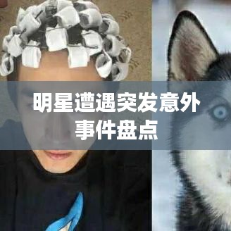 明星遭遇突发意外事件盘点