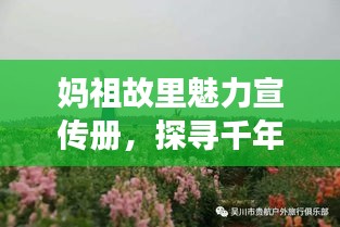 妈祖故里魅力宣传册，探寻千年文化，感受海洋风情