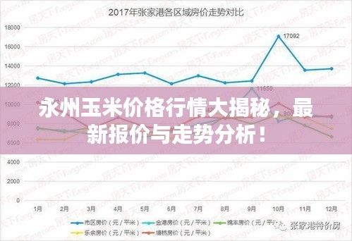 永州玉米价格行情大揭秘，最新报价与走势分析！