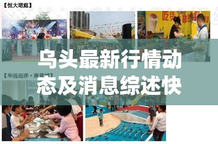 乌头最新行情动态及消息综述快报
