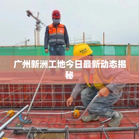 广州新洲工地今日最新动态揭秘