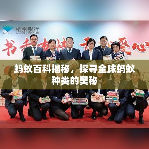 蚂蚁百科揭秘，探寻全球蚂蚁种类的奥秘