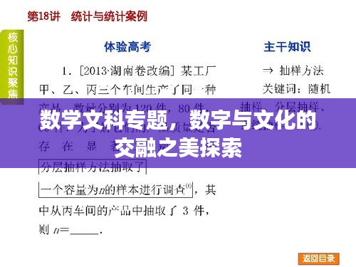 数学文科专题，数字与文化的交融之美探索
