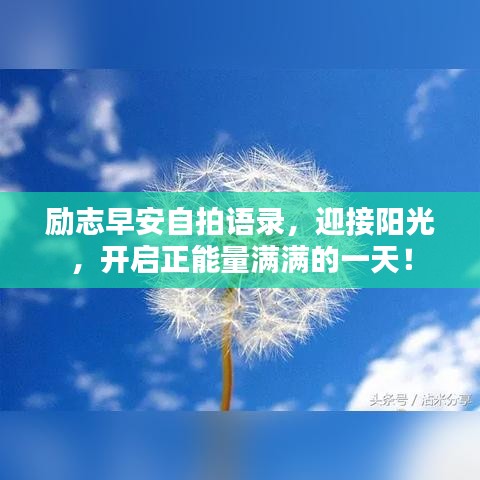励志早安自拍语录，迎接阳光，开启正能量满满的一天！