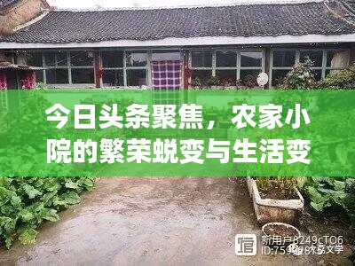 今日头条聚焦，农家小院的繁荣蜕变与生活变迁