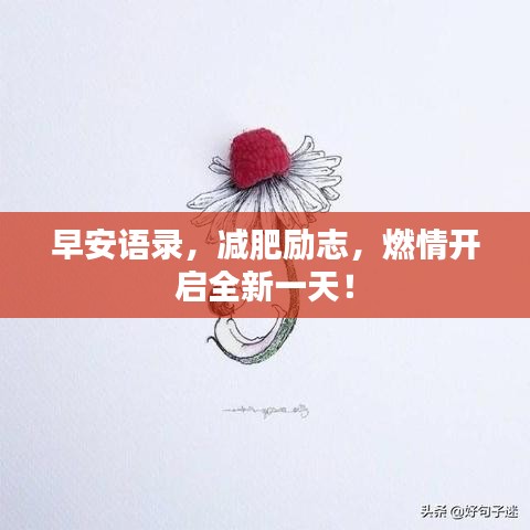 早安语录，减肥励志，燃情开启全新一天！