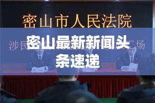 密山最新新闻头条速递