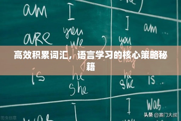 高效积累词汇，语言学习的核心策略秘籍