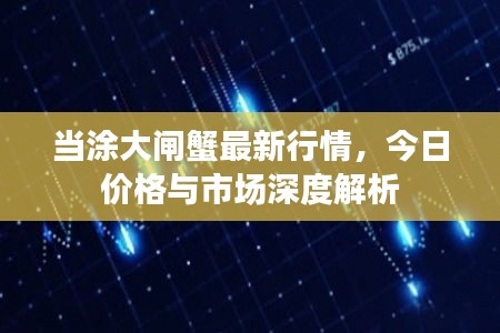 当涂大闸蟹最新行情，今日价格与市场深度解析