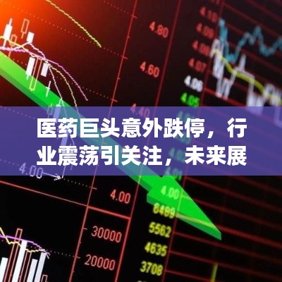 医药巨头意外跌停，行业震荡引关注，未来展望与趋势分析