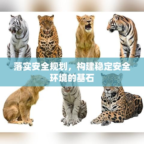 落实安全规划，构建稳定安全环境的基石